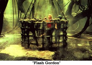 flash.jpg (22747 Byte)